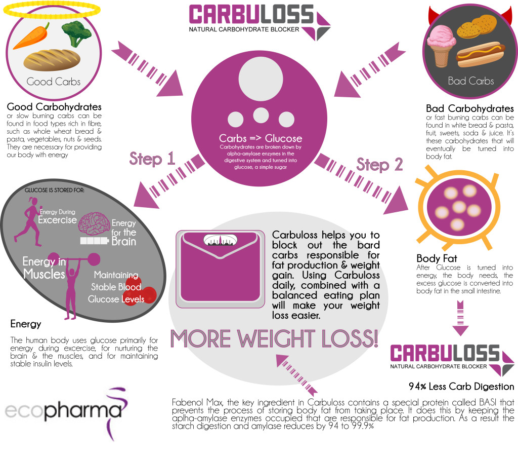 Carbuloss_2
